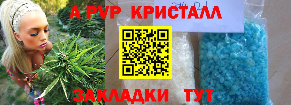 A PVP СК КРИС Омск